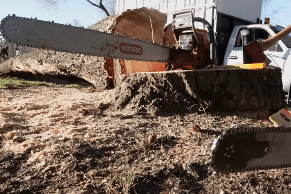 chainsaw-creston-tree-services